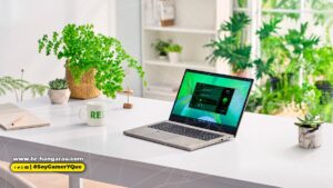 acer-verde-min