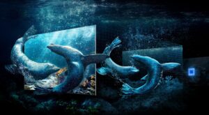 Universo 8K]